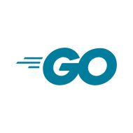 C-Go 1 1080P HD Video Camera EFLA900I